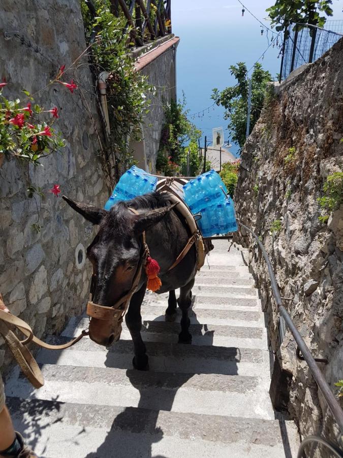 Estate4Home - Goat Path Positano Ngoại thất bức ảnh